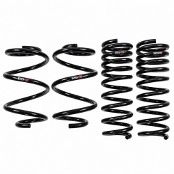 RS-R 15-17 TLX Down Sus Lowering Springs